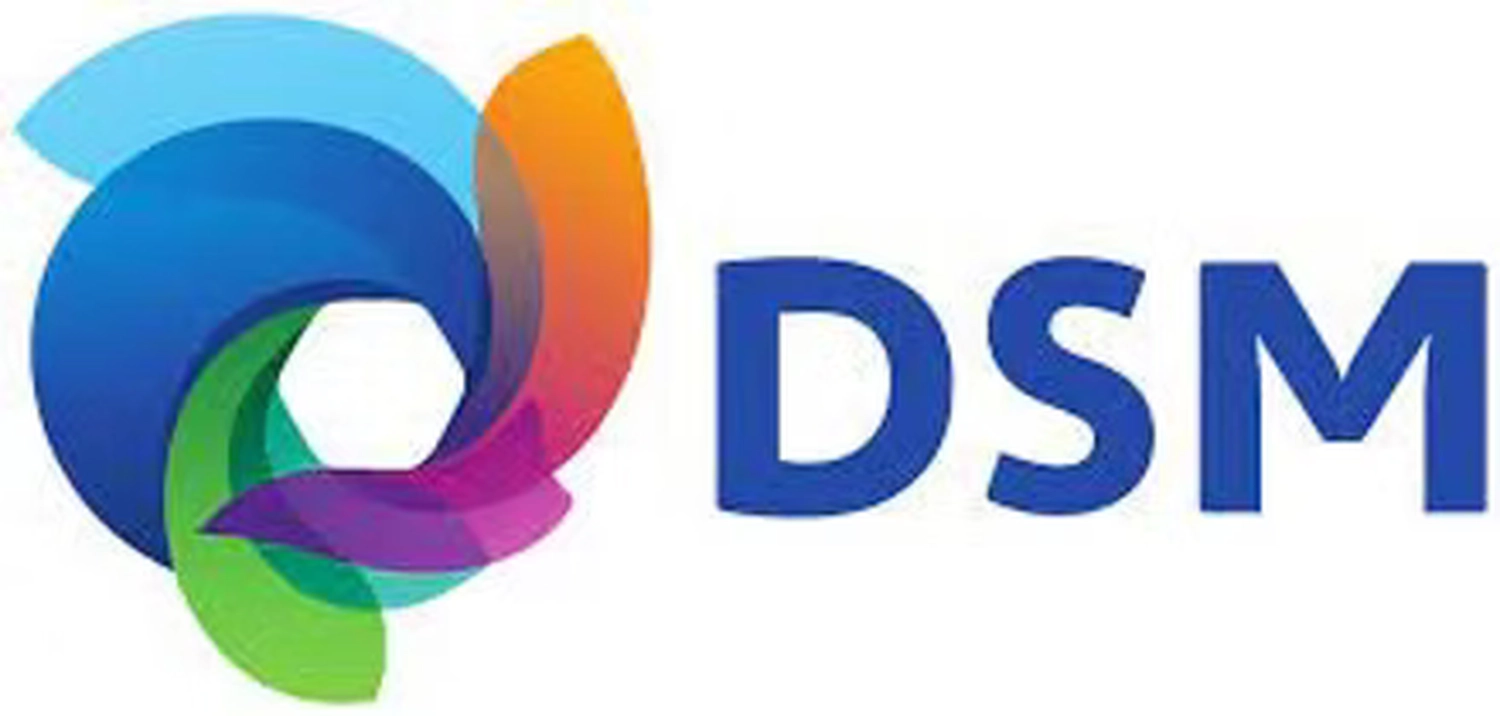 DSM_Logo